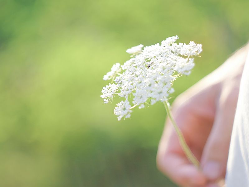 Danke! …und… Ein Geschenk fuer Dich!